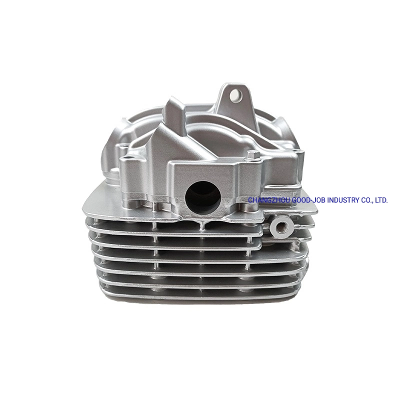 Cylinder Head Assembly for Gn 125 Motorcycle Parts