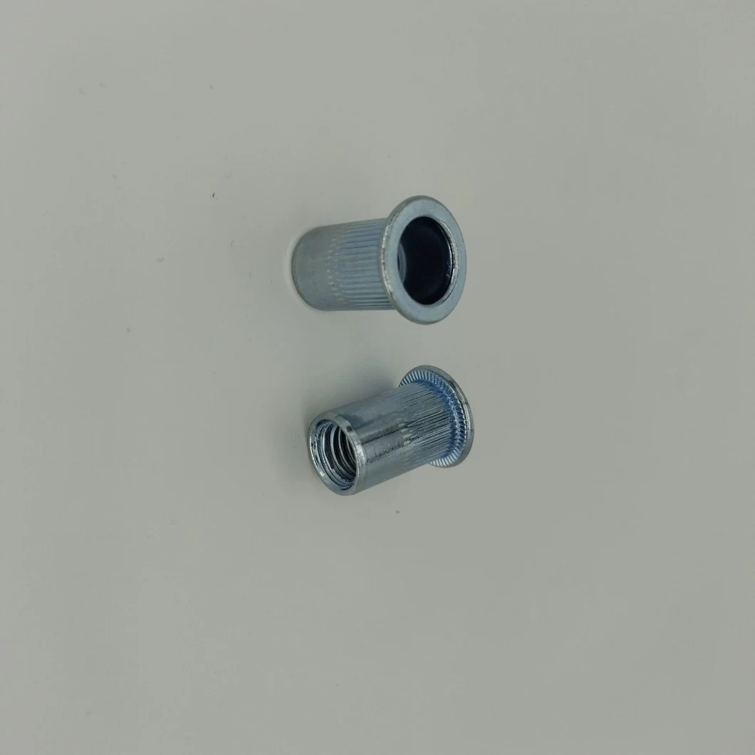 China Steel Mandrel Contact Rivets with Reasonable Price